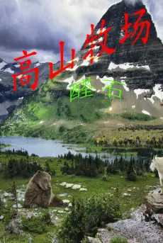 cao-son-muc-truong.jpg