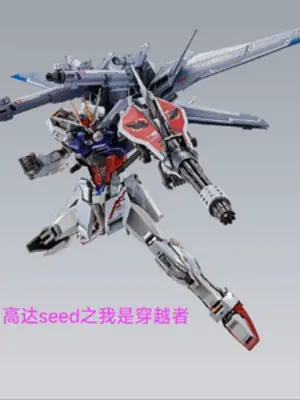 gundam-seed-chi-ta-la-nguoi-xuyen-viet.jpg